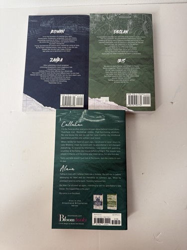 Dreamland Milliardäre Lot Serie 3 Taschenbücher Sammlung Set Lauren Asher - Bild 2 von 15
