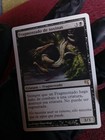 Picture 4 of 8