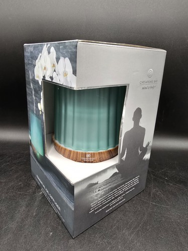 Chesapeake Bay Mind Body Ätherisches Öl Diffusor Geripptes Glas Matt Jade Farbton - Bild 3 von 7