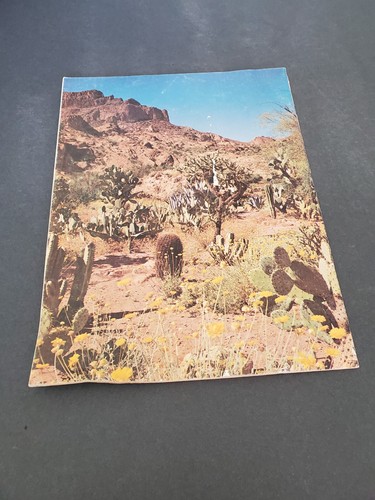 ARIZONA HIGHWAYS 1960'S-1970'S YOU PICK LOT#2 SEE PICTURES OF EVERYONE OVER 700! - Picture 335 of 507