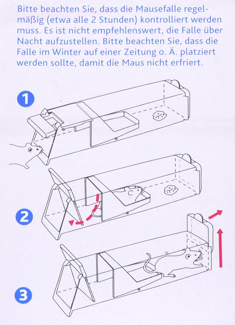 Bild 2 von 6