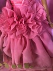 Bild 8 von 15