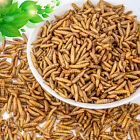 Lot Bulk Dried Bsf Mealworms for Wild Birds Food Chickens Hen Fish Treats Food