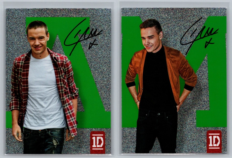 Juego de 13 tarjetas 1D Liam Payne 2013 Panini One Direction SPELLBOUND STARDUST 10 11 12 Foto 4 de 4