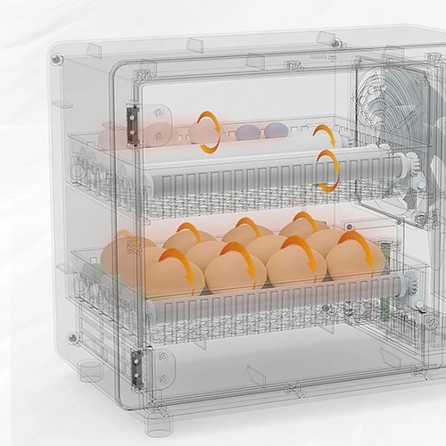 Automatische digitale Eier Inkubator Huhn Geflügel Brüter Temperaturregelung - Bild 7 von 12