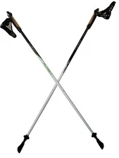 LEKI Nordic Walking Flash Carbon White/Black/Green 105cm
