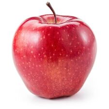 10 Red Delicious Apple Seeds