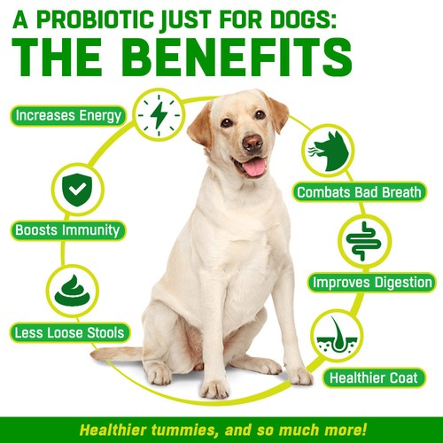 CANIVET | Hip and Joint Supplement for Dogs 180 Tablets + Probiotics 100g OFFER - Picture 2 of 10