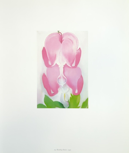 Georgia O' Keeffe Blutendes Herz Botanische Blumen Kunstdruck Exlibris 79 - Bild 2 von 3