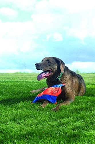 Chuckit! FLYING SQUIRREL Dog Fetch Toy Floating Flyer Glowing Paws MED 10-inch - Picture 4 of 8