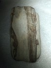 Rare Petrified Wood-Pattern — photo 5