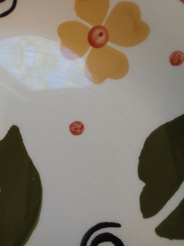 PIER1 Made In Italy Alessia Set/4 Dinner Plates Handpainted Earthenware 10.2"Dia - Picture 12 of 15