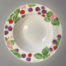 VTG Replacement Tienshan Raspberry Social Stoneware Rim Soup Cereal Bowl 8.5”