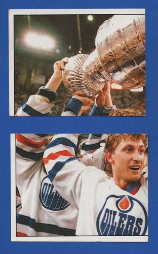 1987-88 PANINI STICKERS & FOIL NHL HOCKEY STICKER CARD 1-200 SEE LIST - Picture 165 of 169