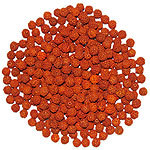 LOOSE RUDRAKSHA RUDRAKSH 6 MM 6MM  BEADS HINDU YOGA MEDITATION WHOLESALE JAPA OM - Picture 3 of 4
