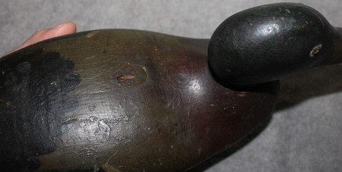 MASON MALLARD GLASS EYES DUCK DECOY 100 YEARS OLD - Picture 8 of 14