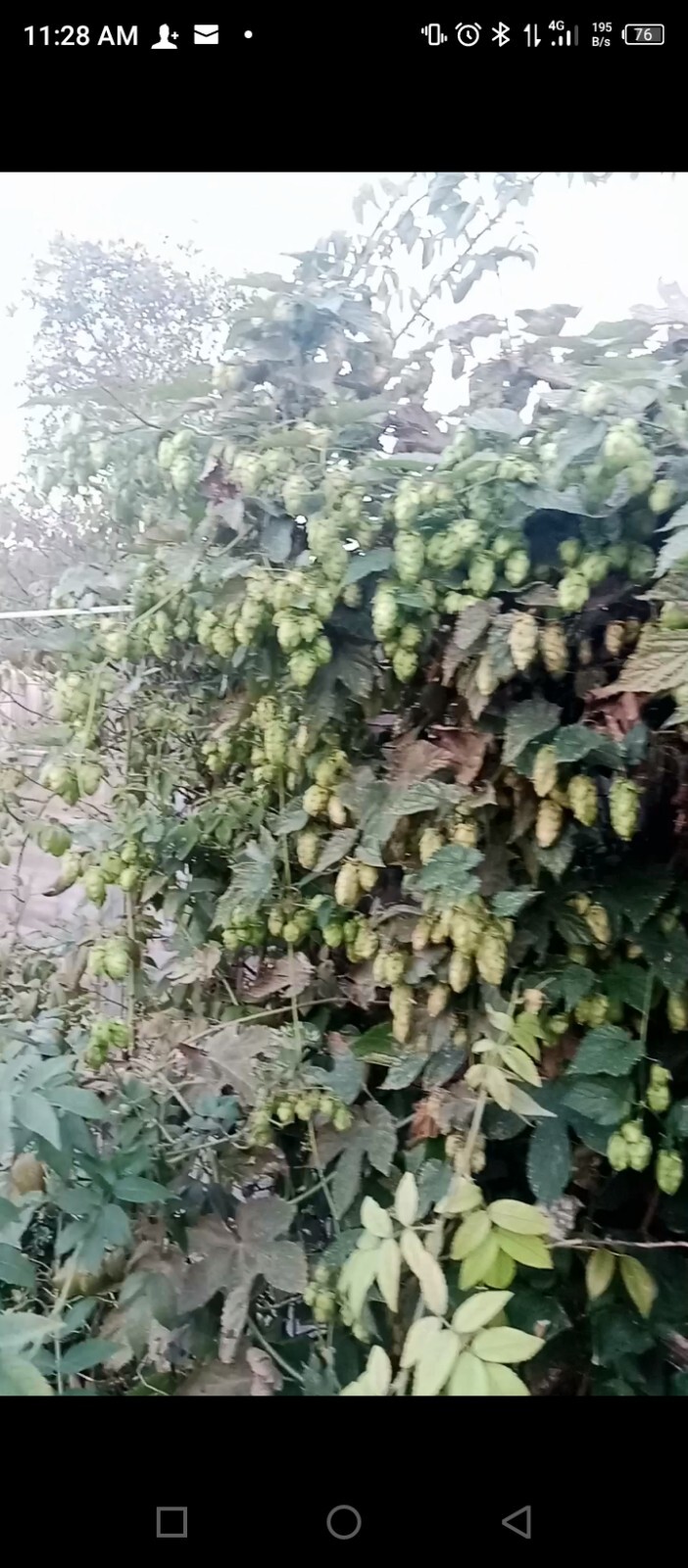 Picture 6 of 6