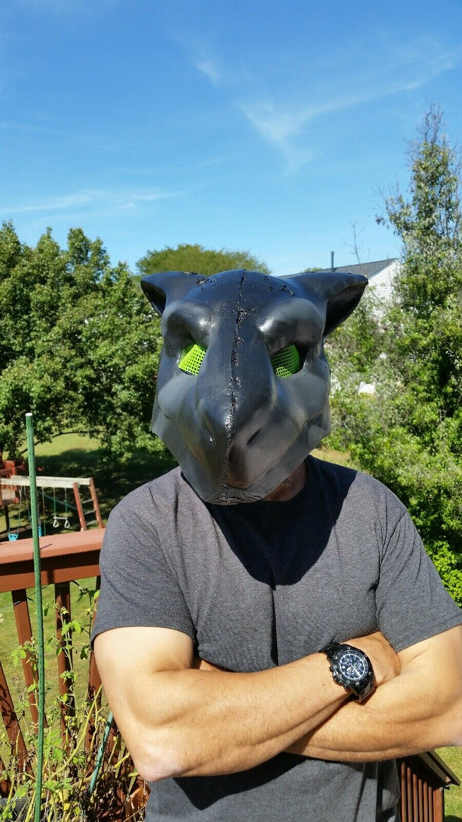 Picture 10 of 10