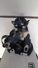 Foto 6 di 13