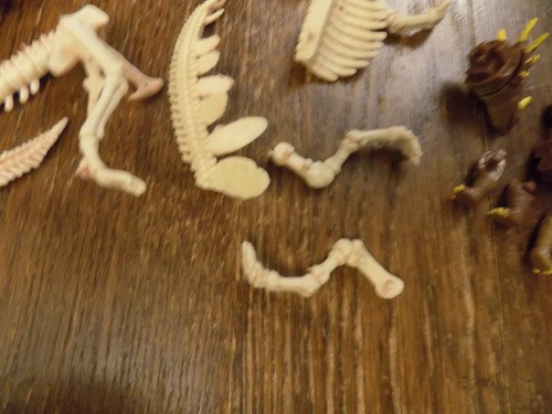 KidzLabs Dinosaur Skeleton Parts Kits Dinosaur Model & Mini in Egg Educational - Picture 8 of 9