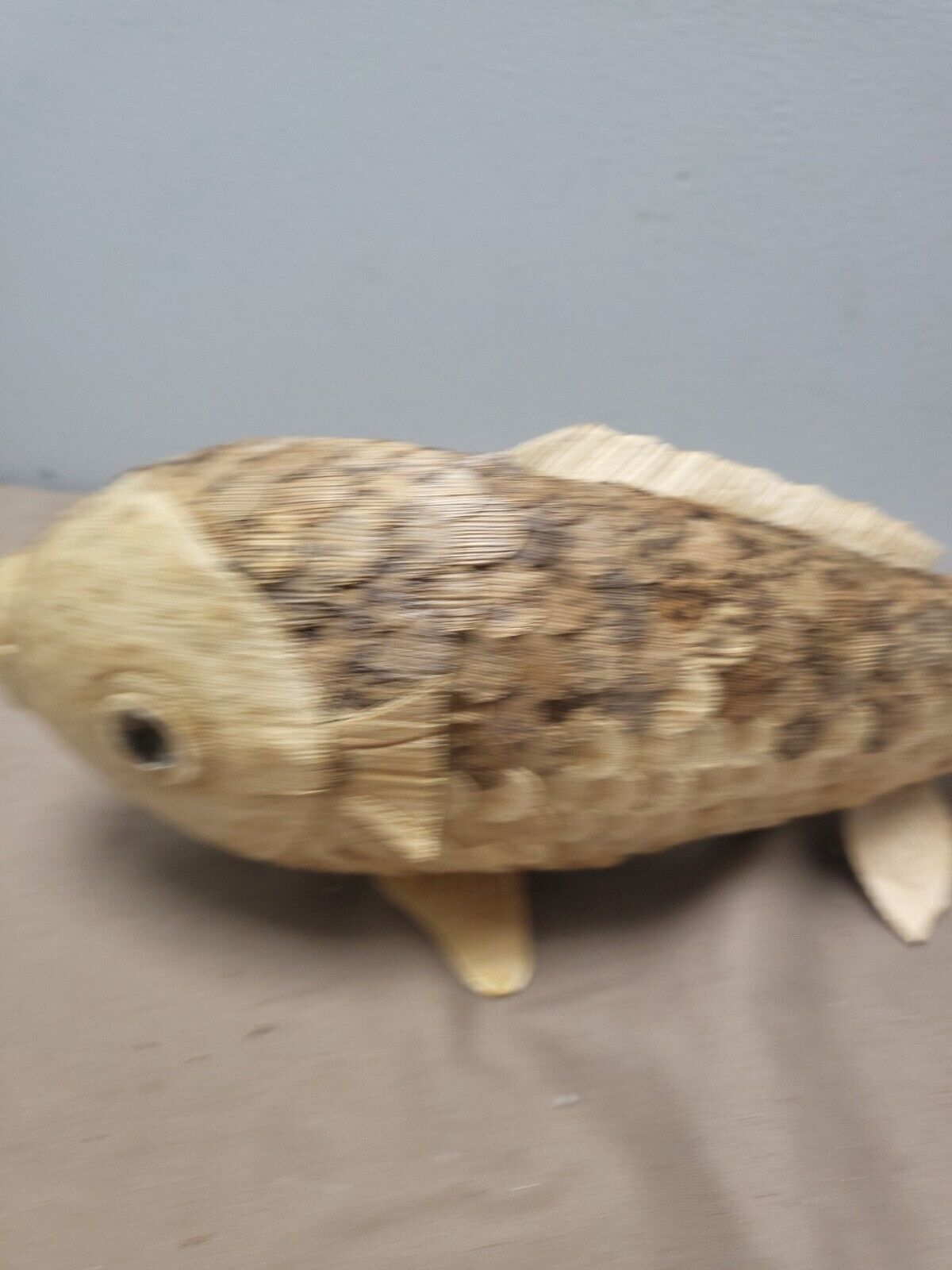Picture 6 of 20