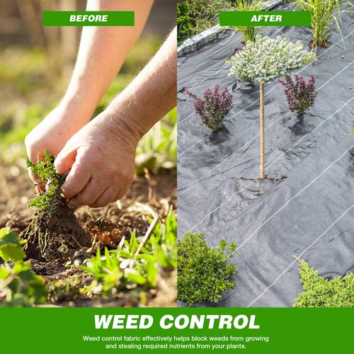 2M WIDE GROUNDMASTER™ HEAVY DUTY WEED CONTROL FABRIC GROUND COVER MEMBRANE - Picture 18 of 35