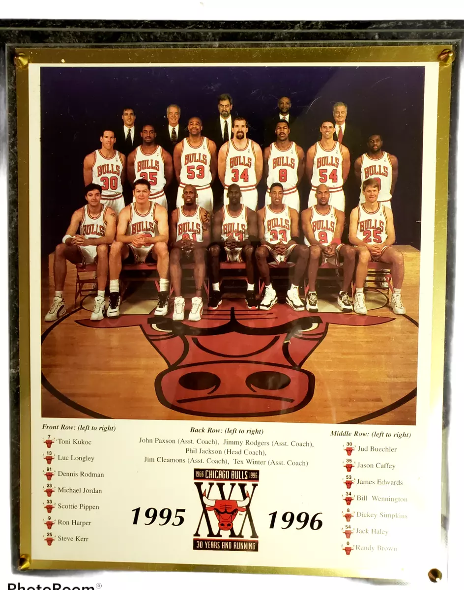 Chicago bulls shop 96 team