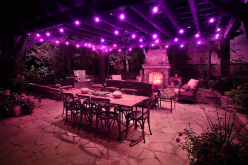2PK A19 LED Transparent Purple Light Bulb, 4.5W, E26 Medium Base - Picture 3 of 3