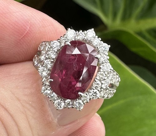 A Magnificent 5.87ct Thai Ruby & Diamond Platinum Ring - Picture 8 of 11