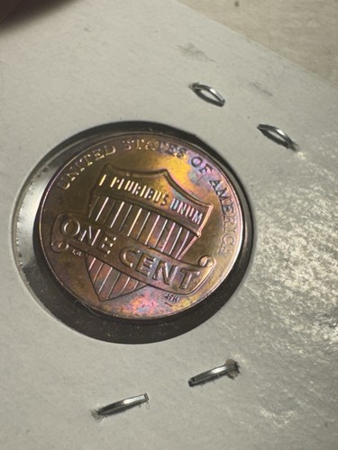 2021 Lincoln Shield Cent Penny Beautiful Toning. - Picture 6 of 7