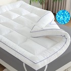 Twin Size Mattress Topper, Shredded Memory Foam Filling, 1800 GSM Mattress Pa...
