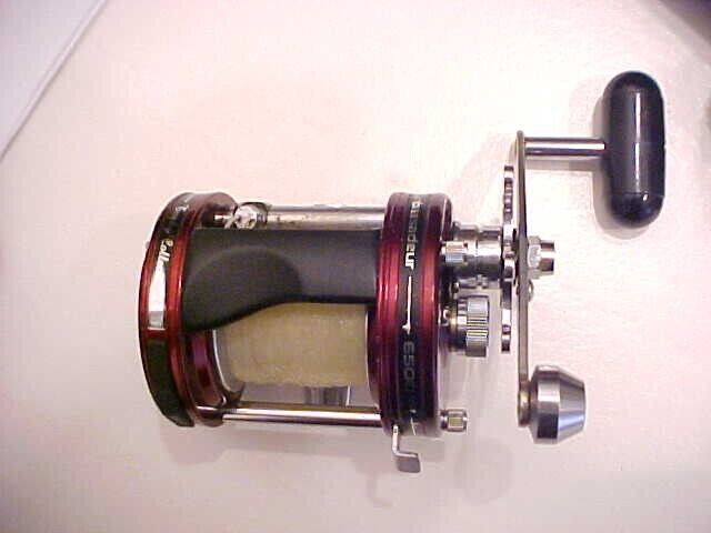 Picture 8 of 14