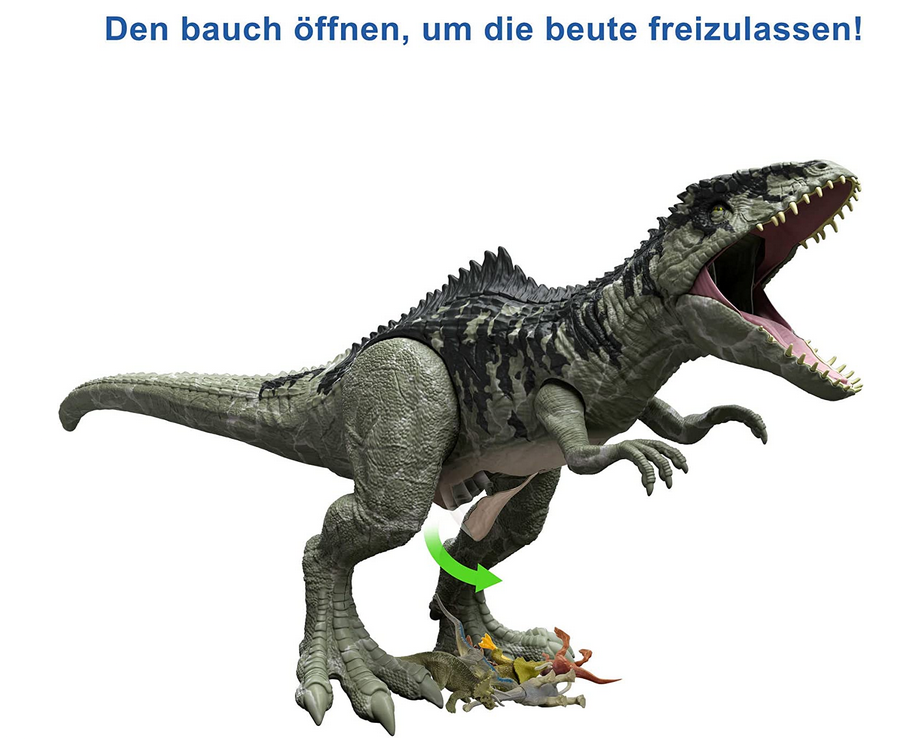 Bild 8 von 11