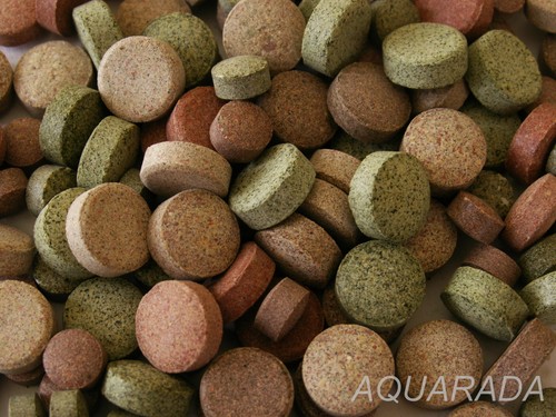 ca.750St/300g Futtertabletten Welstabletten  15 Sorten MIX Zierfischfutter Wels