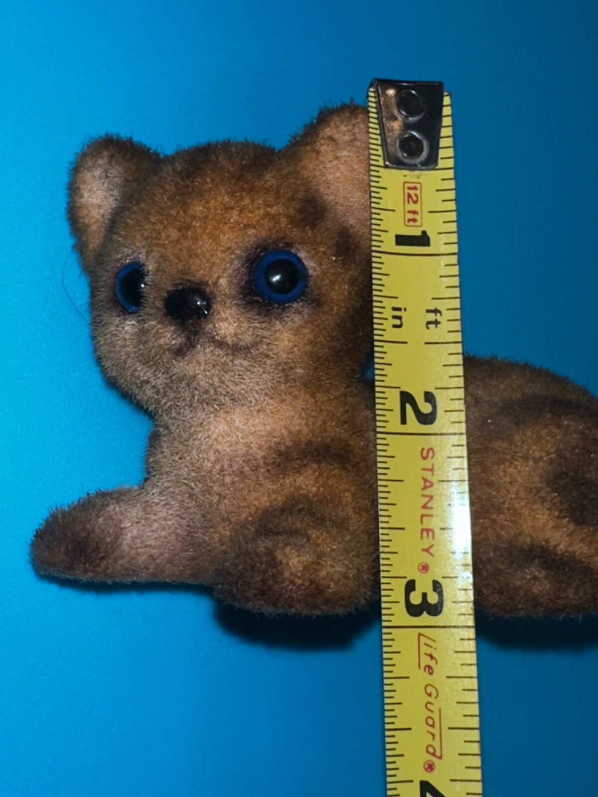 Picture 9 of 9