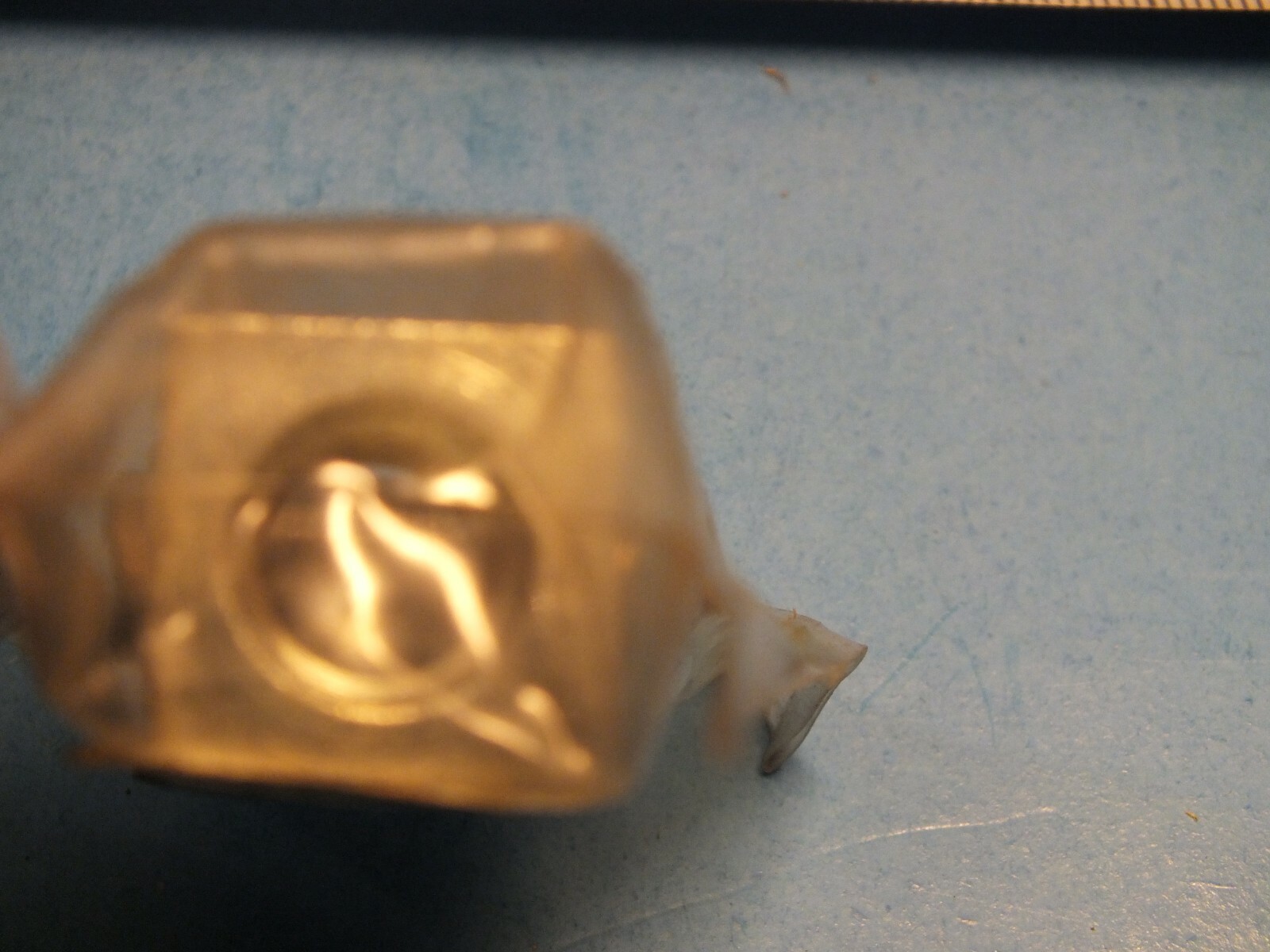 Picture 4 of 4