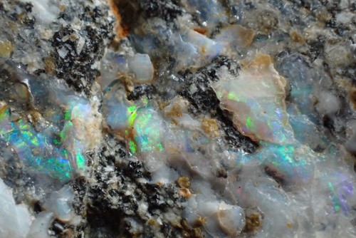PRECIOUS OPAL FROM ANCIENT LOCALITY !!! DUBNIK, SLOVAKIA - Picture 2 of 24