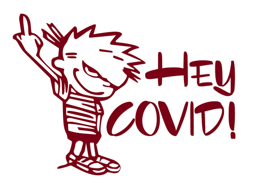 Hey C0VID Flip Off C0VID Virus Humor Vinyl Decal 43 different colors available - Imagen 12 de 46