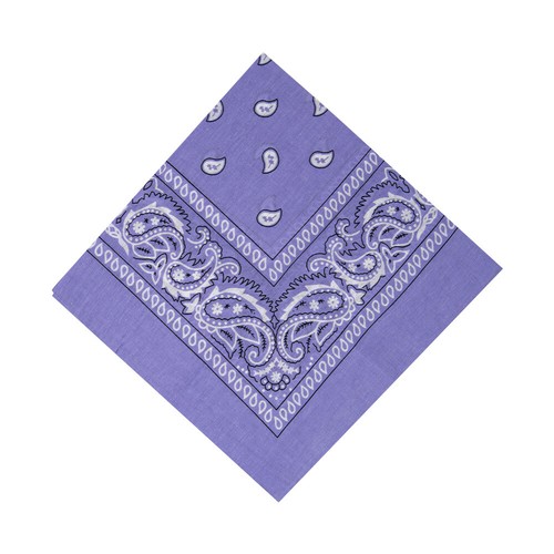 Bandana Paisley Print 100% Cotton Scarf Head Wrap Neck Headband - Picture 39 of 61