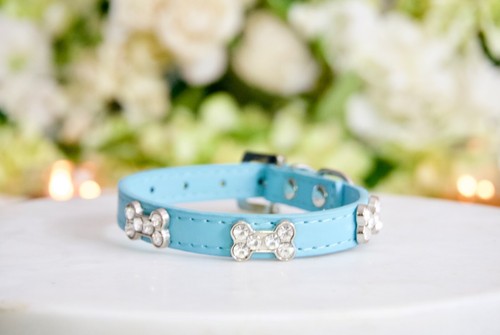 NEU! Luxus Strass Knochen Hundehalsband Rotkehlchen Ei blau Haustierhalsband Katze Welpe Hund - Bild 1 von 5