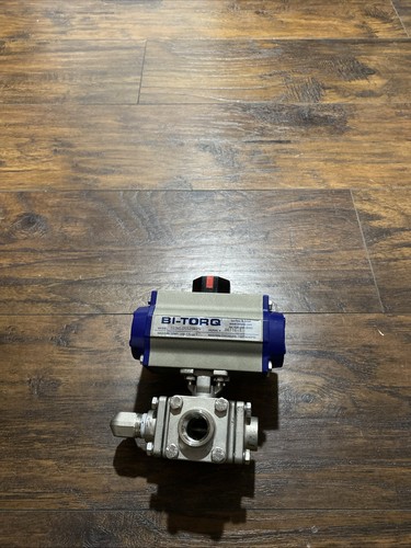 BI-TORQ Pneumatischer Stellantrieb - Bild 1 von 5