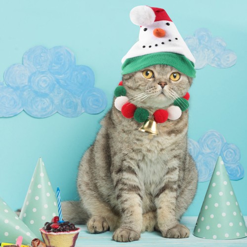  Ropa de cuello ajustable para gatitos para perros gatos accesorios de tejido - Imagen 12 de 12