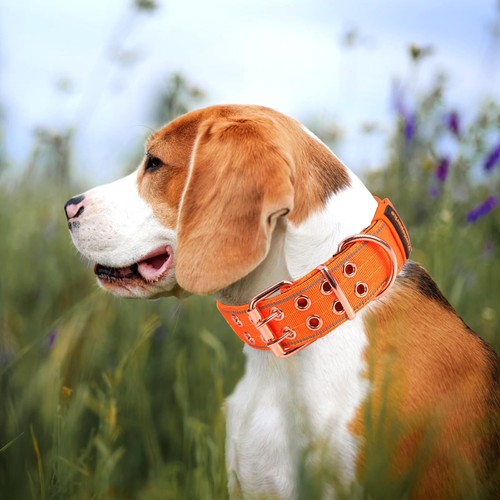 Heavy Duty Tactical Dog Collar with Neoprene Padded and Metal Buckle, Reflect... - Picture 7 of 7