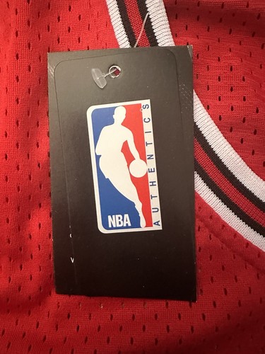 NWT Vintage Nike Michael Jordan Chicago Bulls NBA Jersey Size L+2 - Picture 4 of 10
