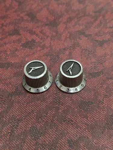 Peavey Metallknöpfe T Serie Paar 70er 80er Jahre