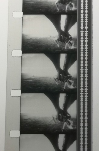 16mm Spielfilm mit allen Zwischensequenzen 1933 "King Kong" in s/w mit Ton - Bild 11 von 24