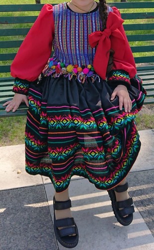 Vestido Tradicional Peruano Disfraz Niña Falda Hombro Paño + Pompones - Imagen 3 de 6