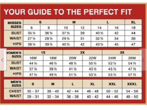 plus size 26W Navy Lace/Chiffon Shanda Dress formal by Ashro new - Picture 3 of 3