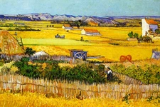 Vincent van Gogh The Harvest or Harvest at La Crau Painting Art Poster 18x12