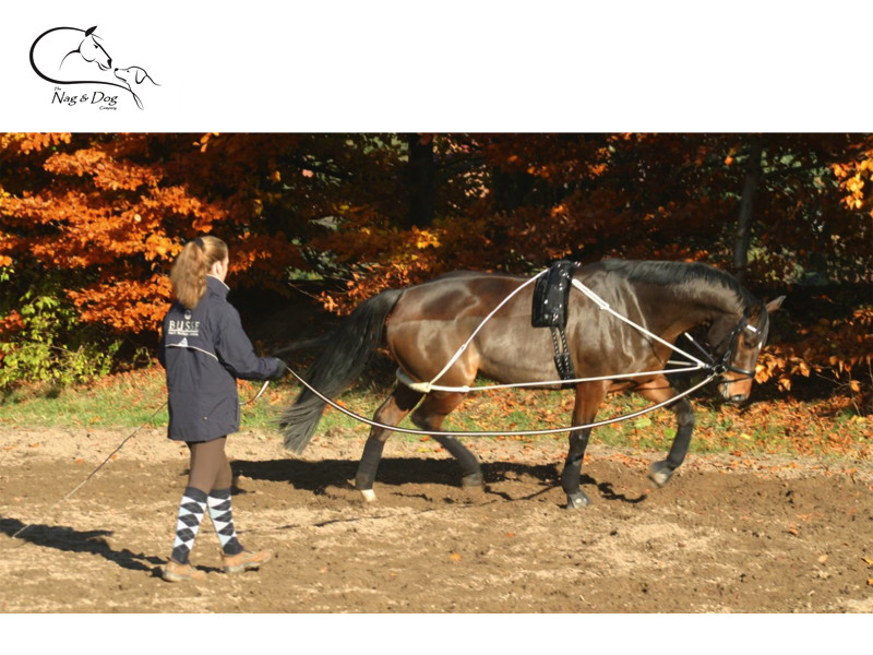 Busse trabajo ayuda Rodillo De Entrenamiento Estiramiento romper Pony Plus completo Libre P&P Busse trabajo ayuda Rodillo De Entrenamiento Estiramiento romper Pony Plus completo Libre P&P garantía de crédito